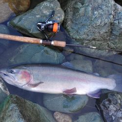 天竜川ルアーフライ専用区